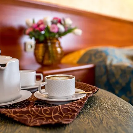 Hotel Buhta Vikingiv 4*