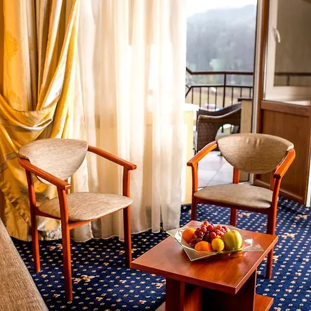 Buhta Vikingiv Hotel 4*