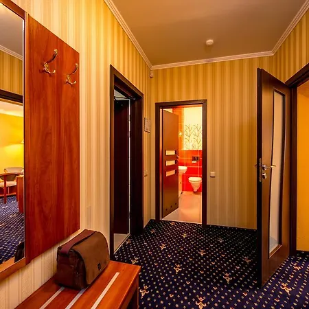 Hotel Buhta Vikingiv 4*