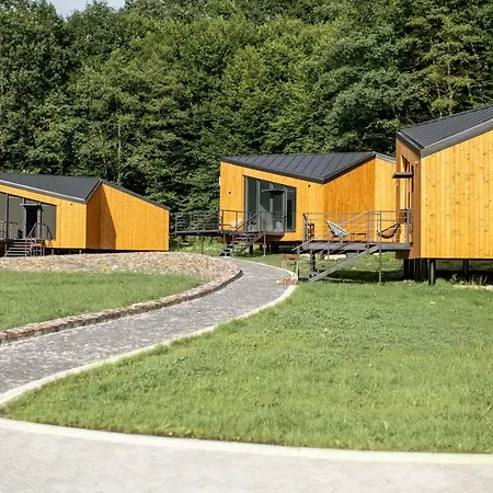 Hotel Buhta Vikingiv 4*